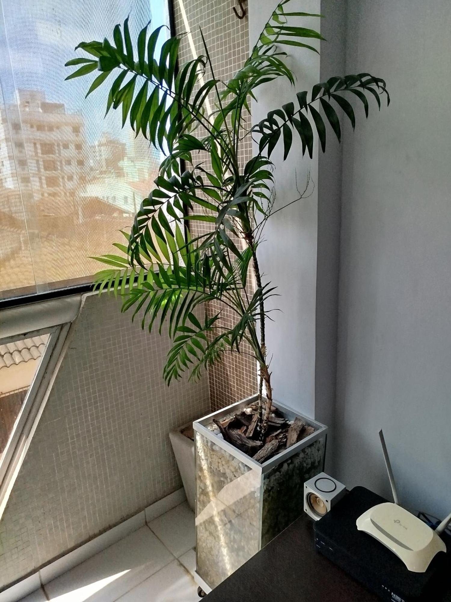 Impecavel Na Enseada Apartment Guaruja